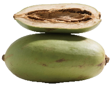 Traditional Dried Betel Nuts